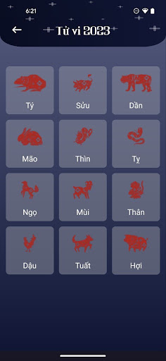 Fortune Pro Screen 2