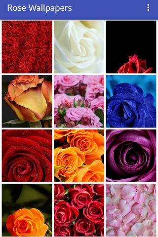 Android application Rose Wallpapers screenshort
