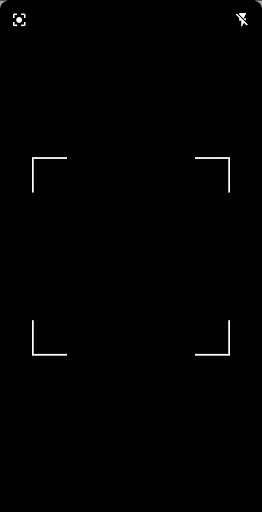 Visihelp Screen 2