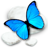 Blue Butterfly CM Theme icon
