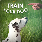 Dog Training - Train your Dog icon