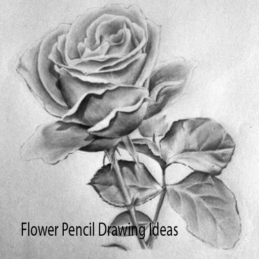 Flower Pencil Drawing Ideas