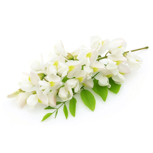 المطربة فاتن يا خساره - AppWisp.com