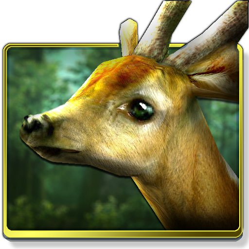 Forest Hd Google Play のアプリ