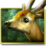 Forest HD icon