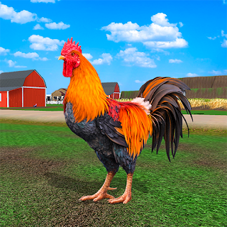 Rooster Simulator - Chick Life apk