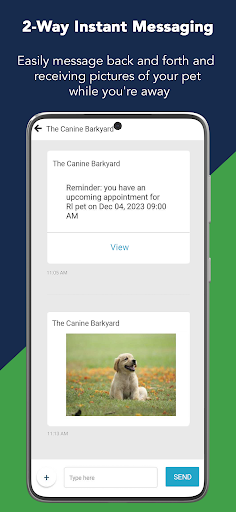 Screenshot of The Canine Barkyard