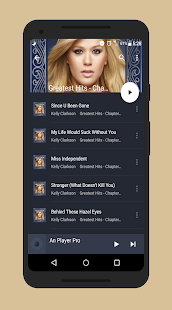 An Player Pro : MUSIC PLAYER لقطة شاشة