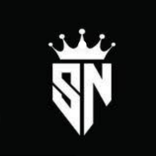 SN Logics logo