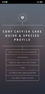 Cory Catfish Care