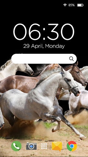 Horses Cool Wallpapers Screenshot 4 - AppWisp.com
