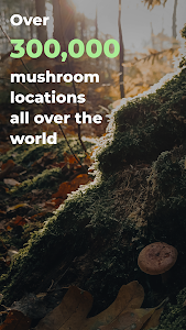 Mushroom Spot: mushroom map Unknown
