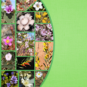 Top 33 Books & Reference Apps Like Plants Fungi SW NSW Australia - Best Alternatives