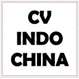 Cvindochina.com icon