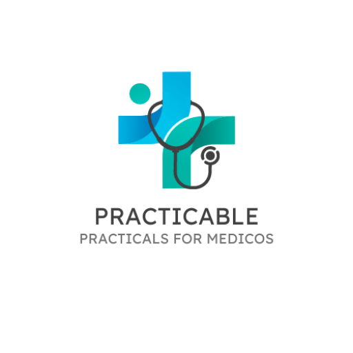 Practicable logo