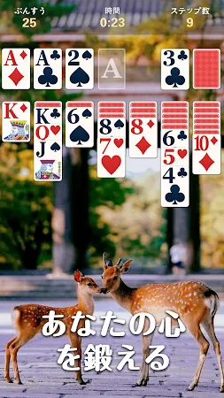 Game screenshot Vida-Solitaire hack