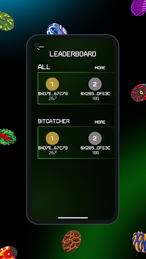 Bitcatcher Screen 3