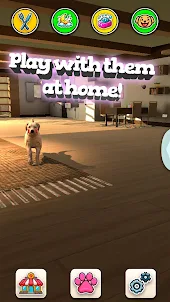 My Dog - Virtual Pet