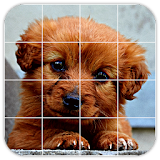 Tile Puzzles · Puppies icon