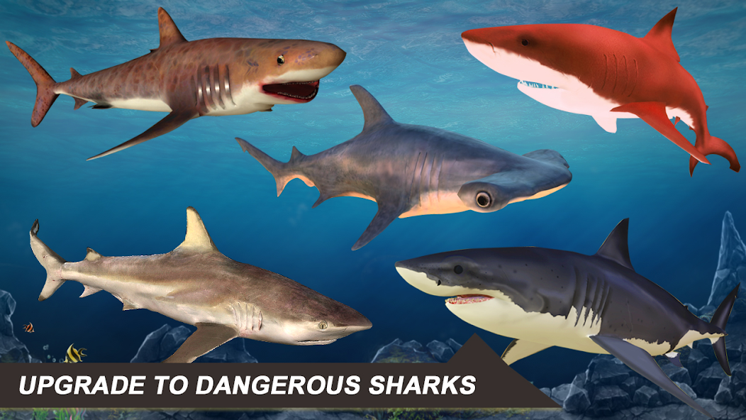 Shark Attack Sim: Hunting Game MOD APK screenshot
