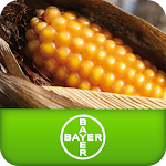 Cover Image of Unduh Καλαμπόκι Bayer CropScience 2.0 APK