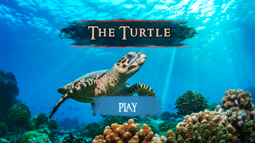 The Turtle Screen 2