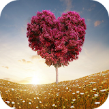 3d Heart wallpapers icon