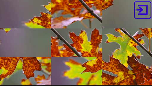 Video Puzzle Screen 2