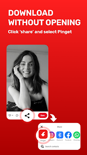 Pinterest Video Downloader 3