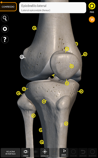 Esqueleto | Anatomia 3D screenshot 7