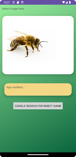 ML Bug Classifier Screen 3