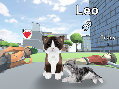 Cat Simulator Online 2 5