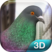 Pigeon Simulator