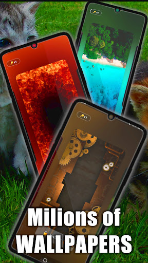 Kitty Live Wallpaper Screen 2