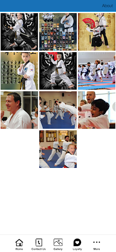 Master Kims World Class TKD Screen 2