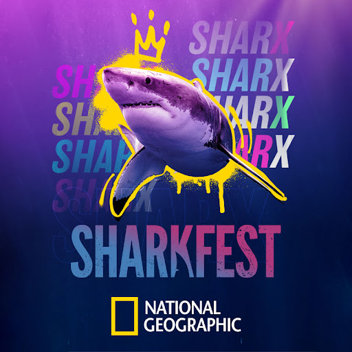 SharkFest Season 4 TV on Google Play