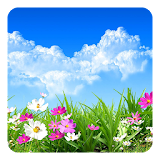 Flower Spring Live Wallpaper icon