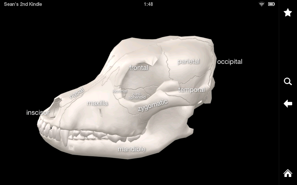 Captura de Pantalla 17 Dog Anatomy: Canine 3D android