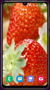 Imágen 13 Strawberry Wallpaper HD android