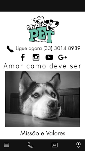 Mundo Pet Screen 2