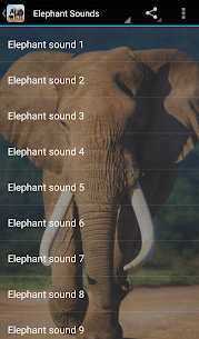 Free Elephant Sounds New 2021* 5