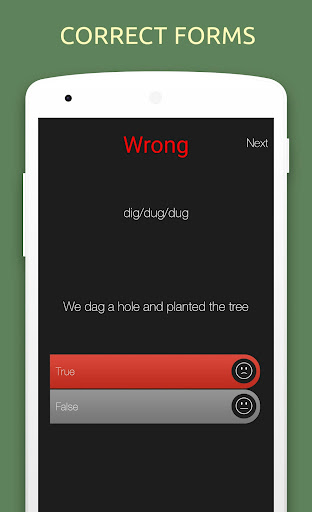 English Irregular Verbs Quiz Screen 3