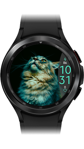 WMD7 - Animals Screen 2
