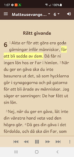 Swedish Bible (98 Version) Screen 3