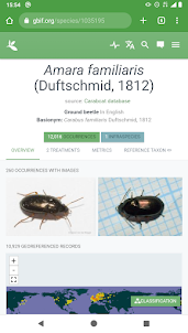 Insectify : Identify Beetles