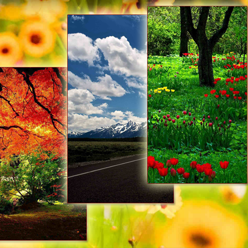 Nature Wallpapers 1  Icon