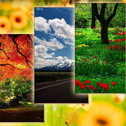 Icon image Nature Wallpapers 1