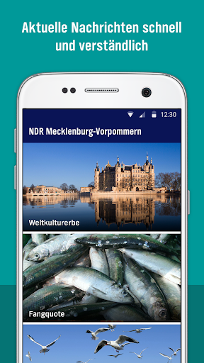 NDR Mecklenburg-Vorpommern screenshot 1