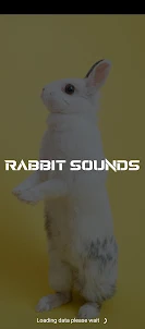 Rabbit sounds