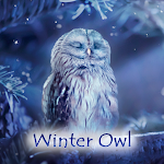 Cover Image of Download Winter Owl Theme +HOME  APK